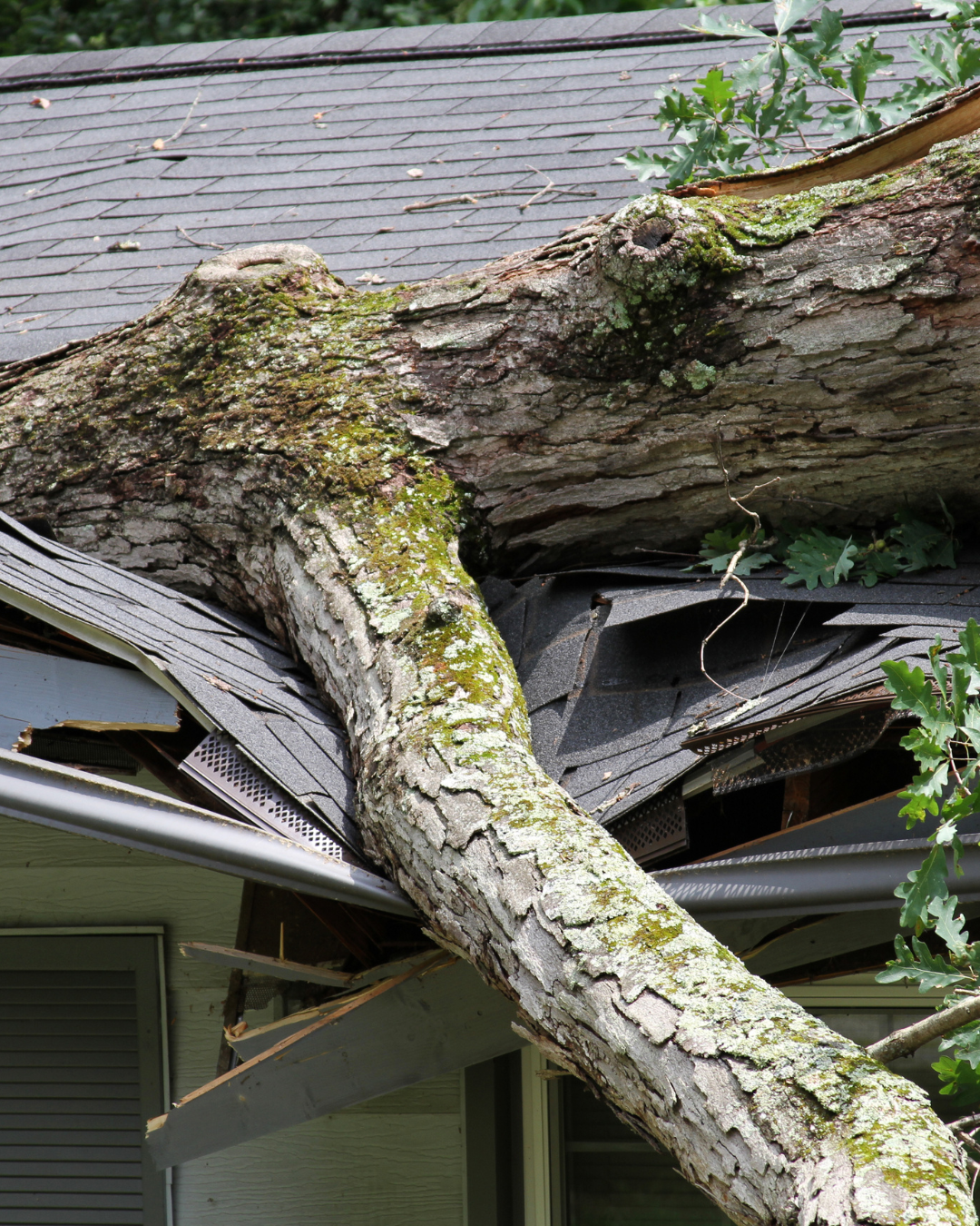 Storm damage roofing inspection in Jacksonville Florida